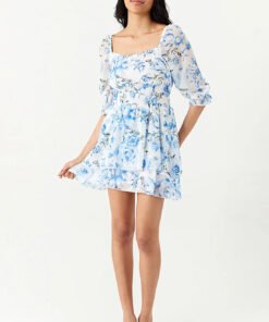 Blue Rose Print Chiffon Ra Ra Dress